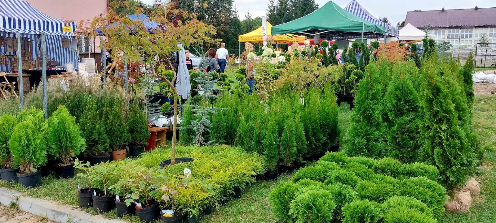 2023-09-27 Wystawa Agro Gorlice 