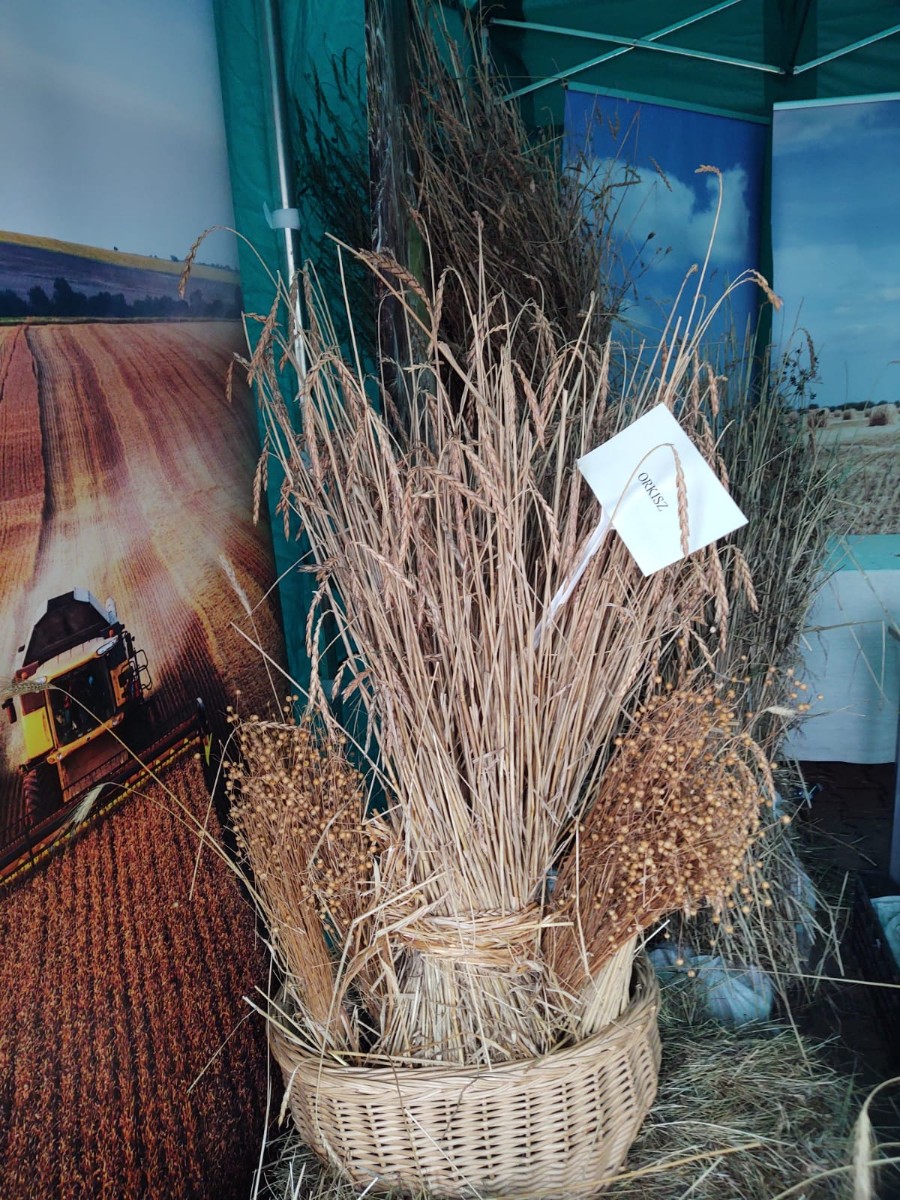 2023-09-27 Wystawa Agro Gorlice 