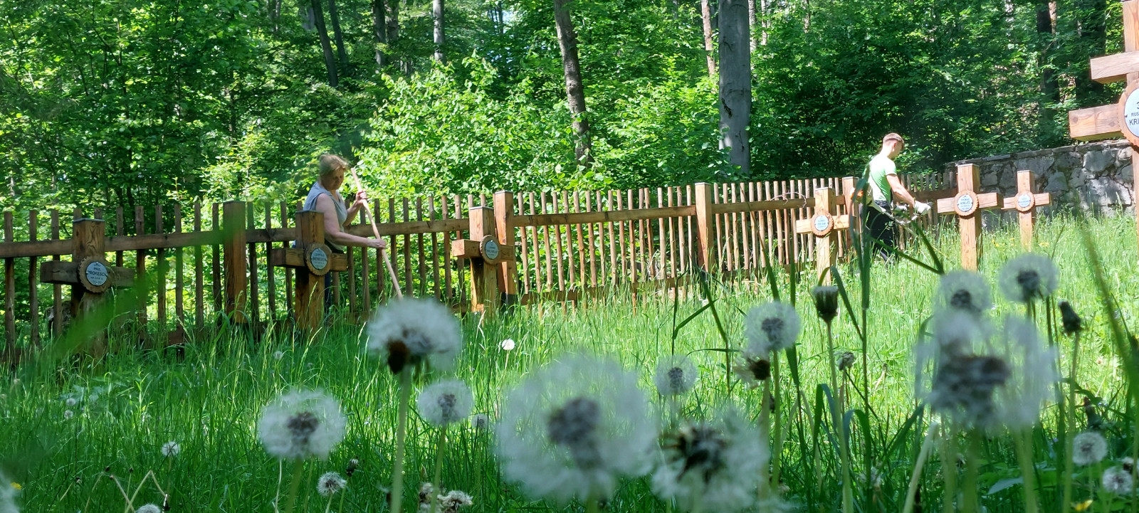 2024-05-31-sprzątanie cmentarza